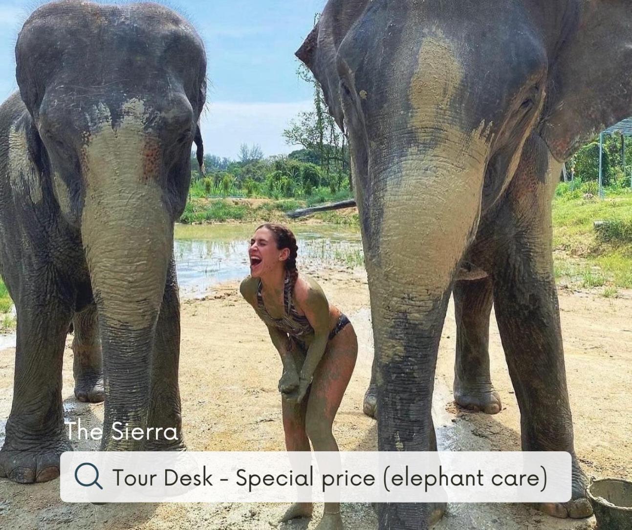 Sierra Hostel Nai Yang ภายนอก รูปภาพ